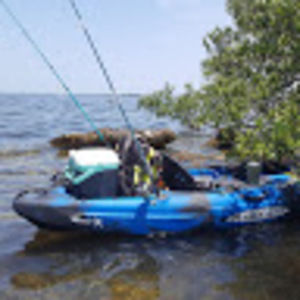 Meet your Posher, Curtis